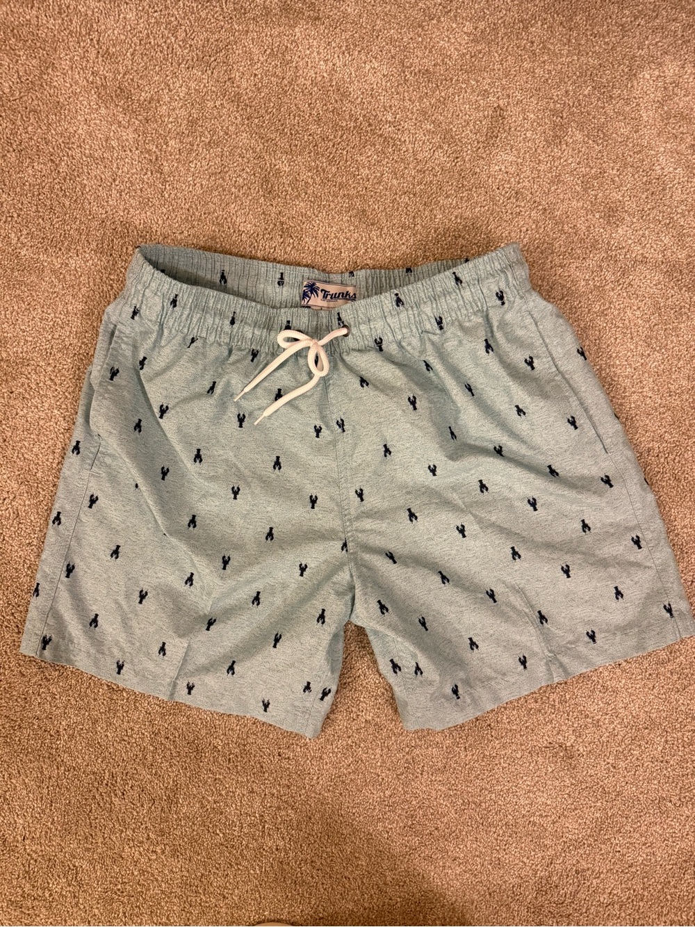 Lobster Pattern Swim Trunks